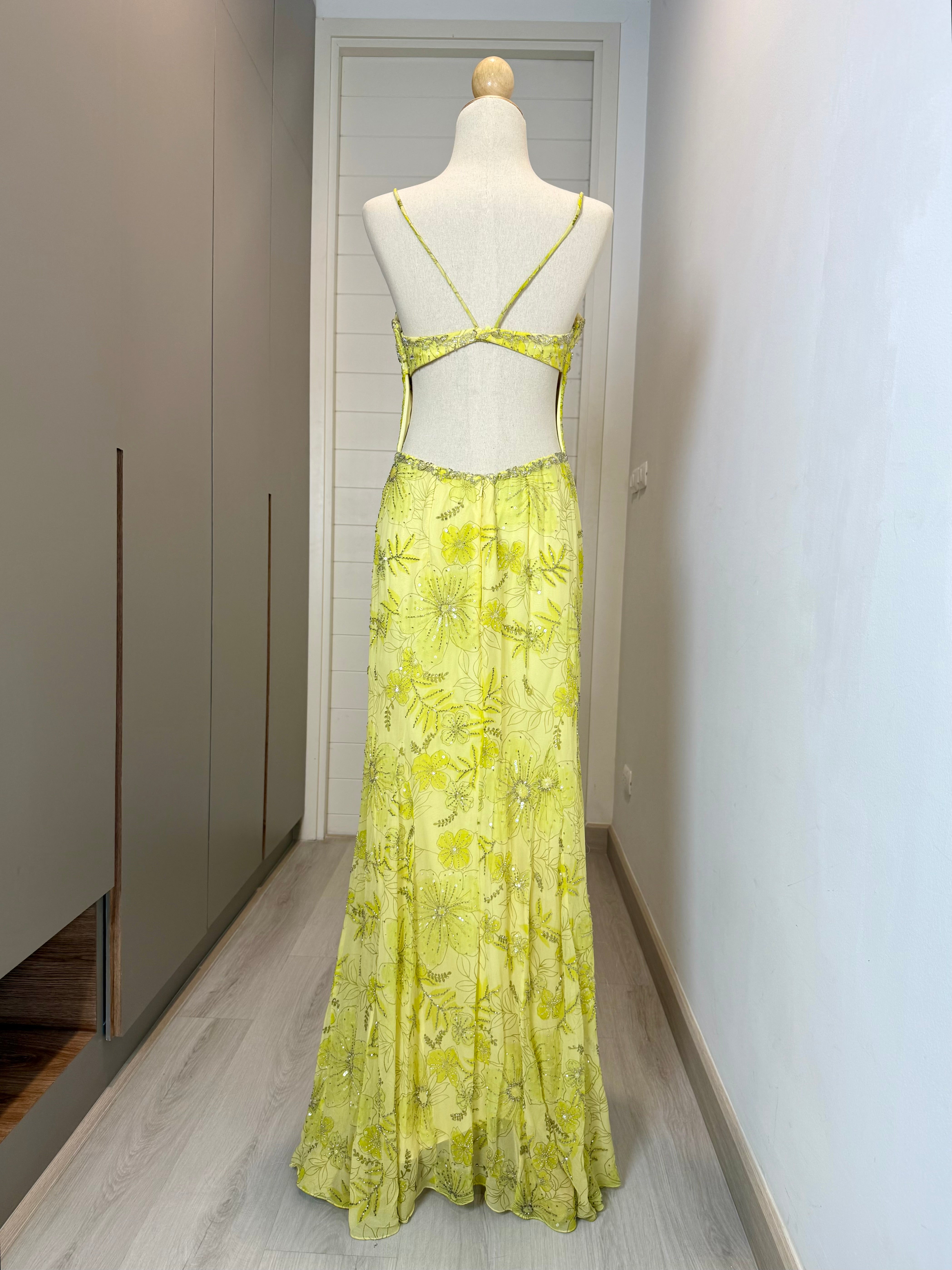 V193 Vintage Super Rare Sunshine Bloom Embroidered Gown (M)