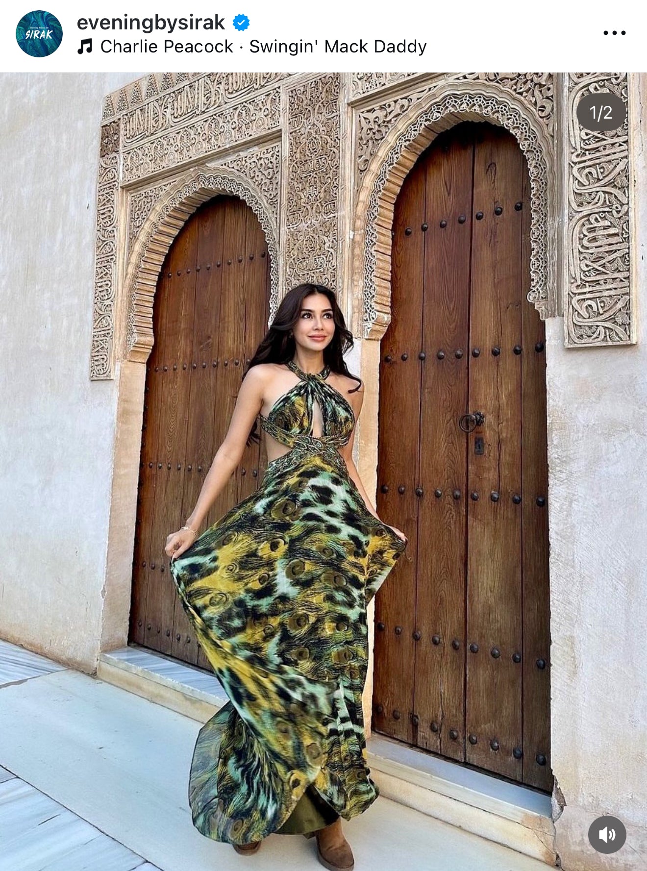 D03 Dave & Johnny Peacock Evening Gown (XS-S)