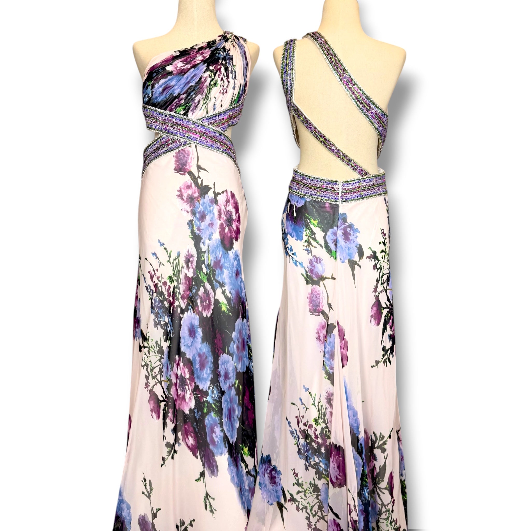 V310 Vintage Blush Garden Crystal Gown (S)